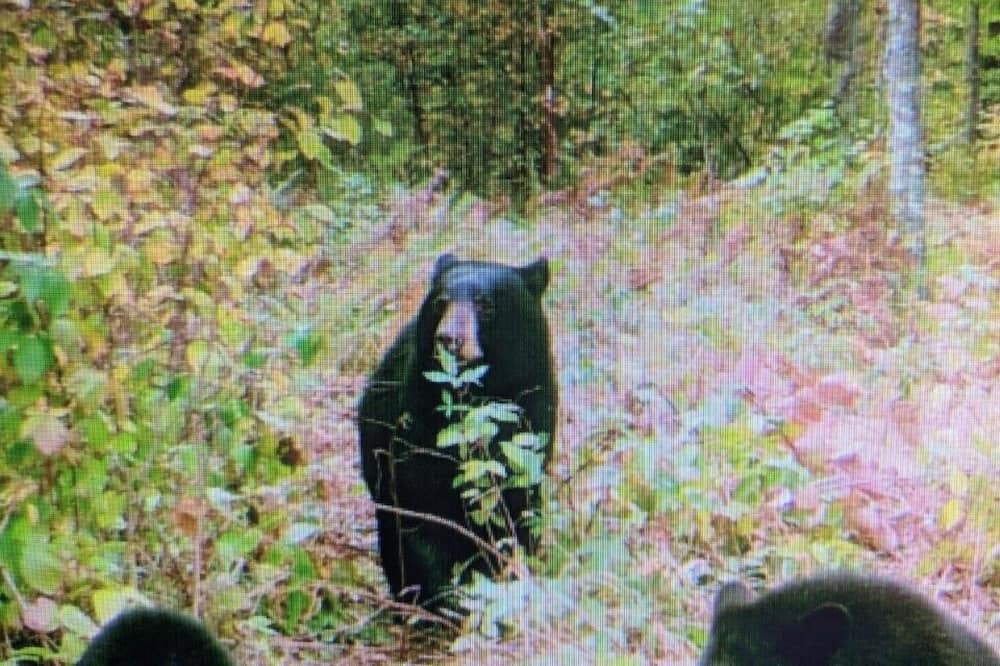 Photo of Outdoor in Finlayson