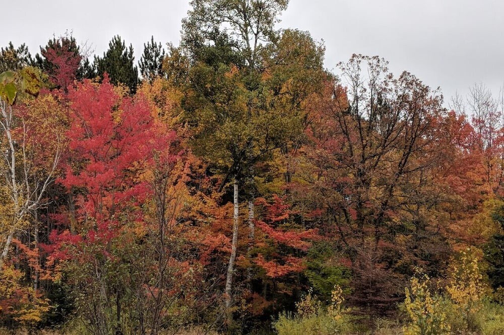 Photo of Outdoor in Finlayson