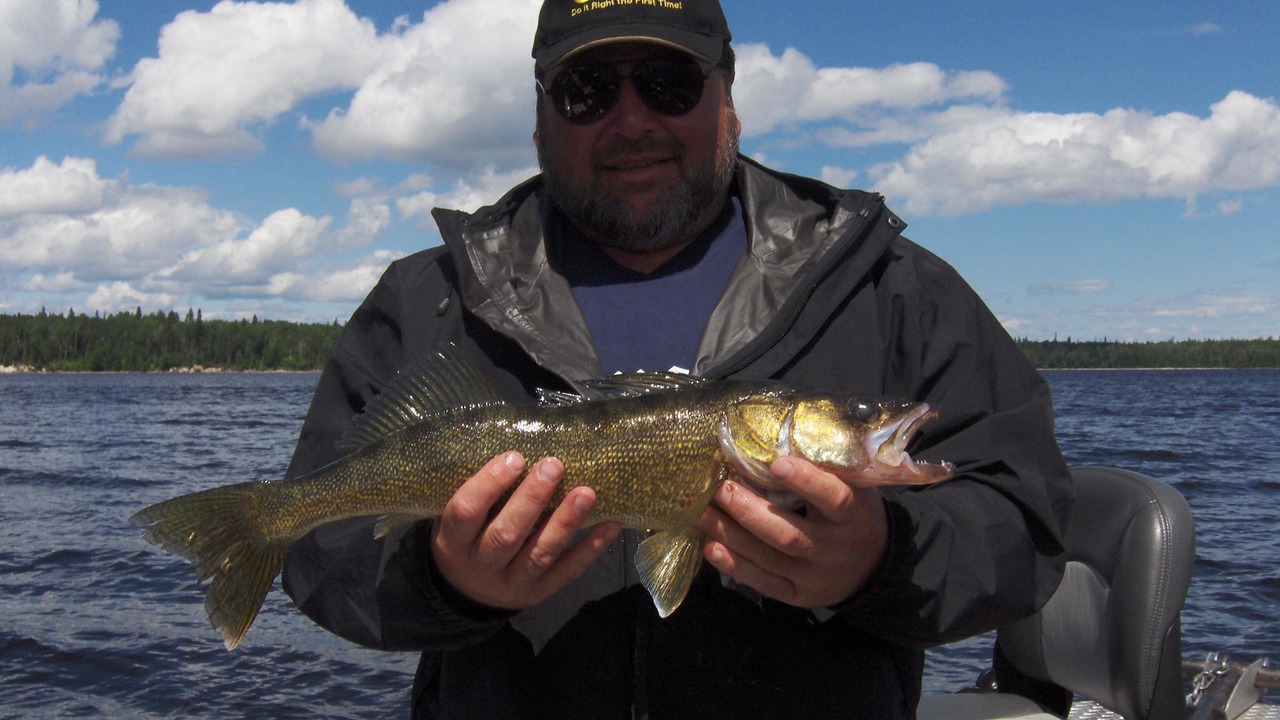 Photo of Others in Algoma District