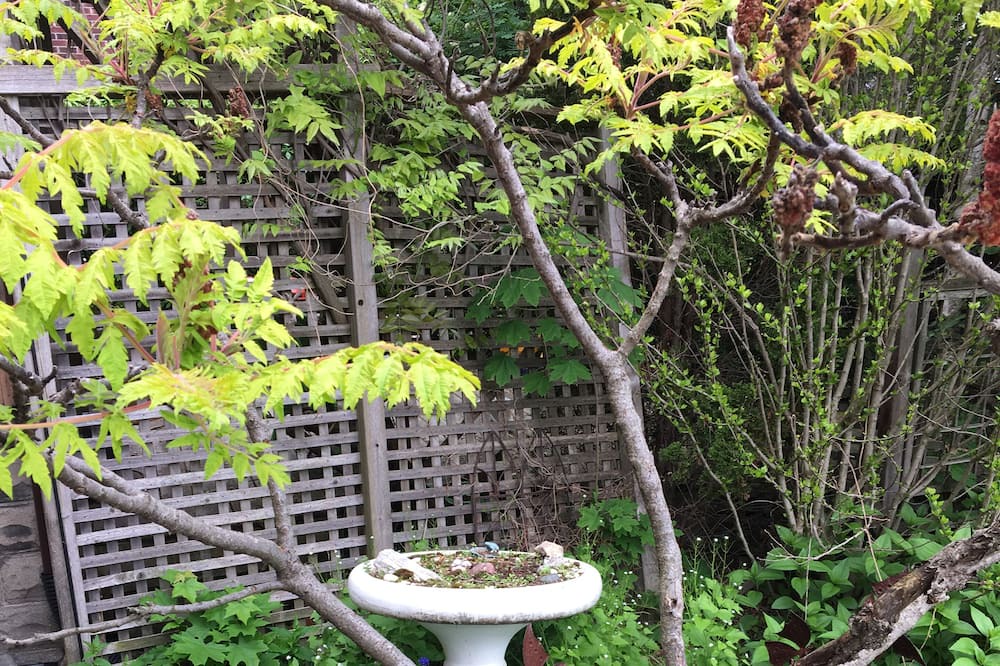 Photo of Outdoor in Bracondale Hill