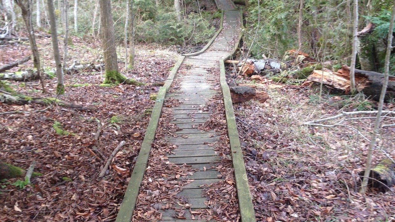 Photo of Outdoor in Grey Highlands