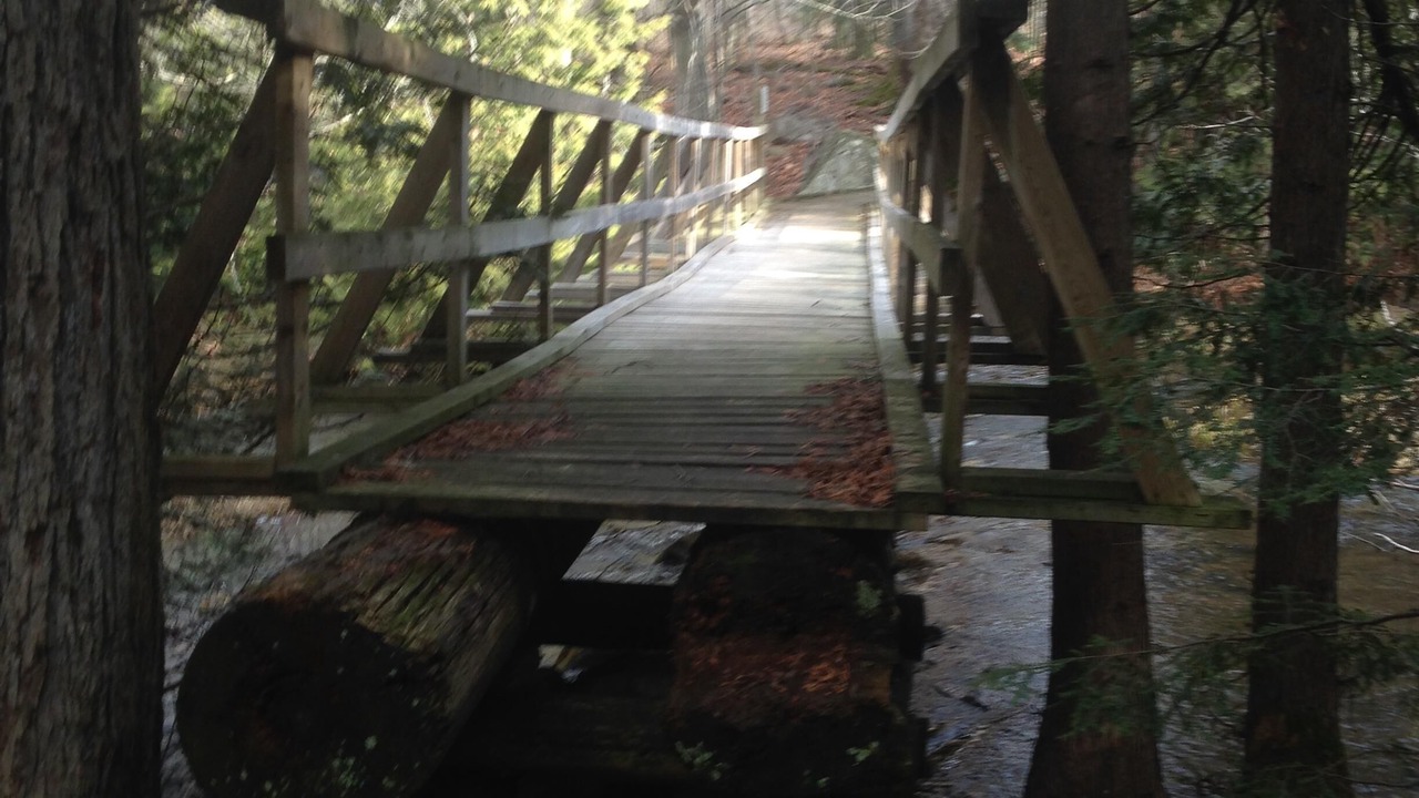 Photo of Outdoor in Grey Highlands