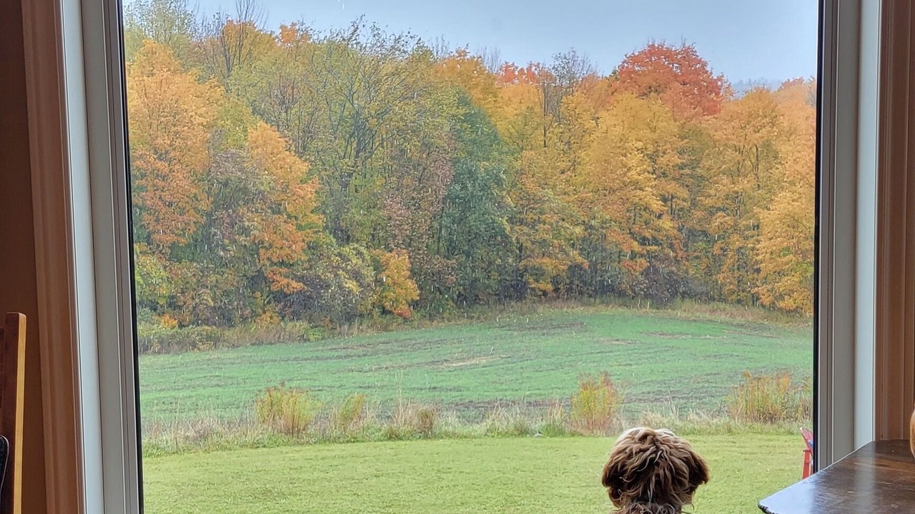 Photo of Others in Grey Highlands