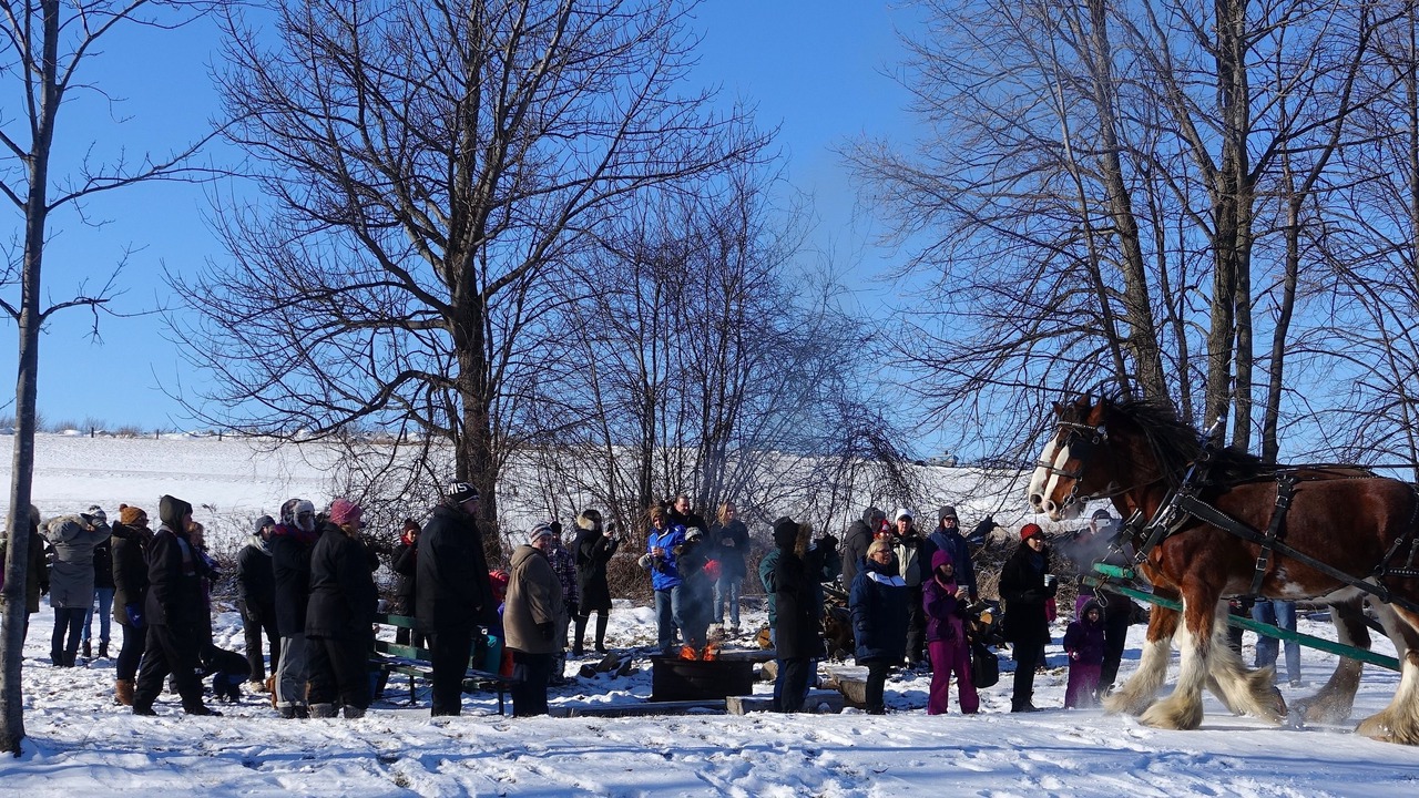 Photo of Others in Otonabee-South Monaghan