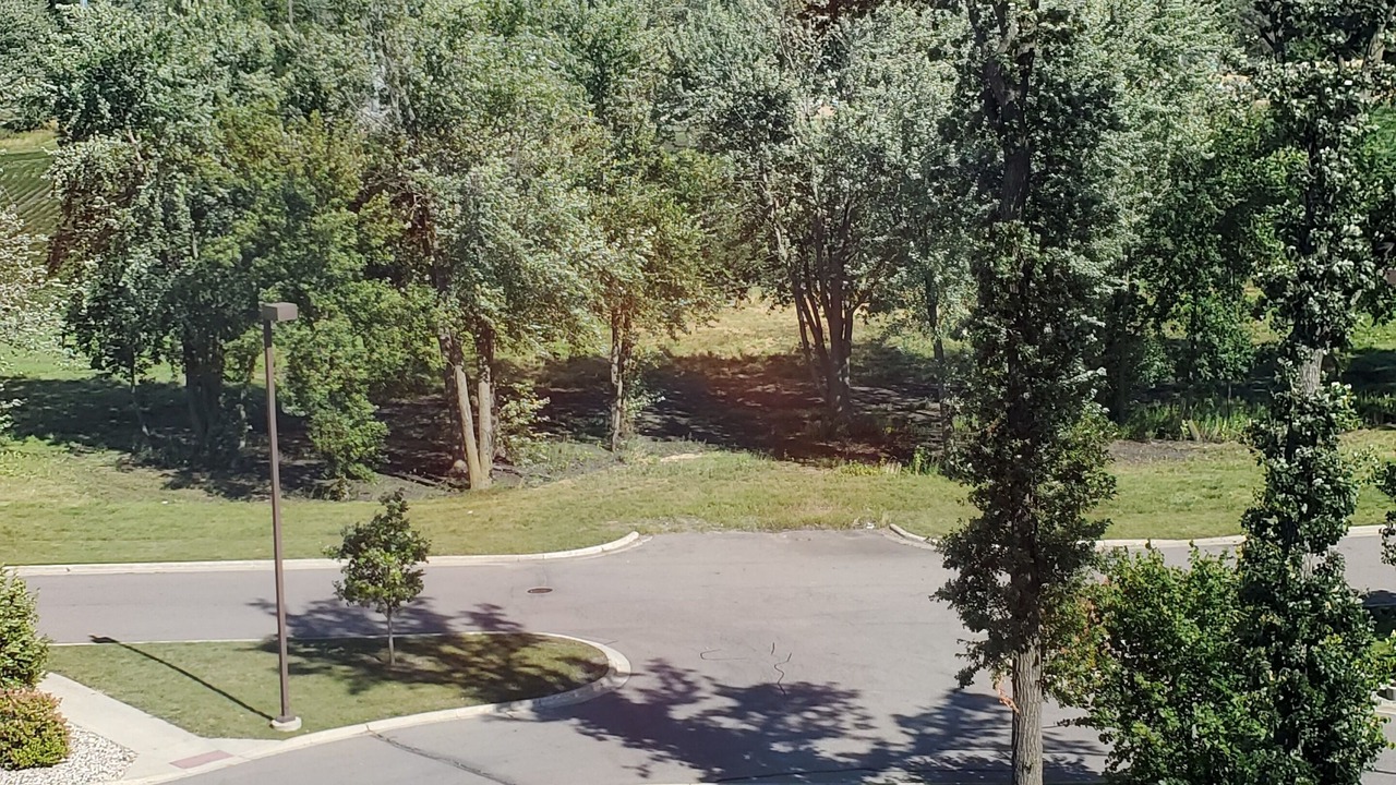 Photo of Others in Mankato