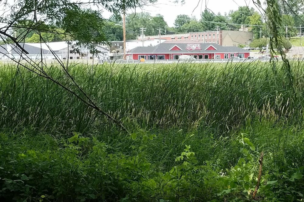 Photo of Outdoor in Lindstrom
