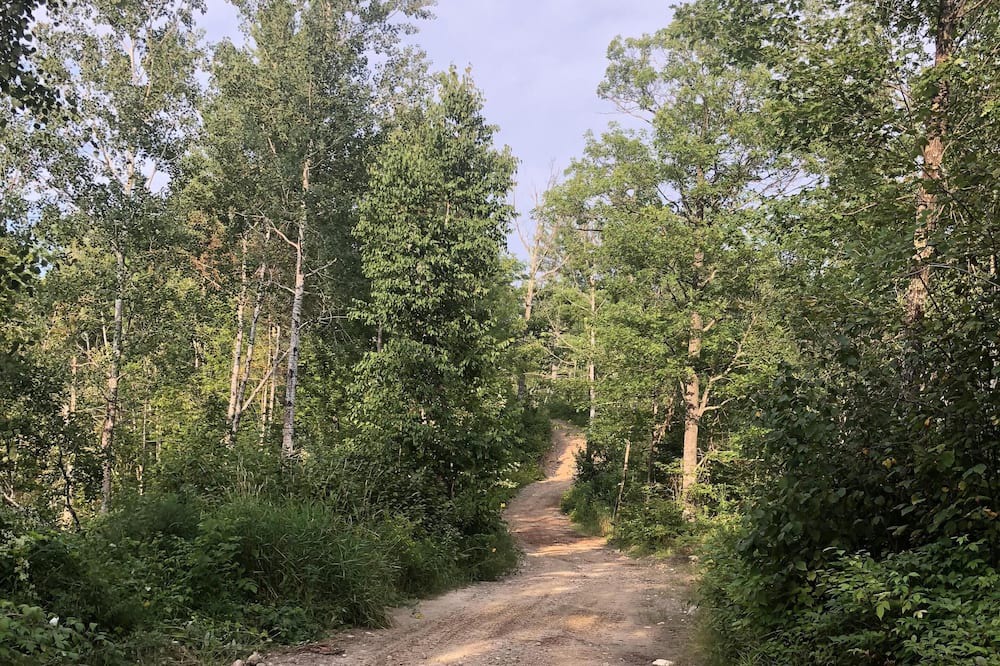 Photo of Others in Hill City