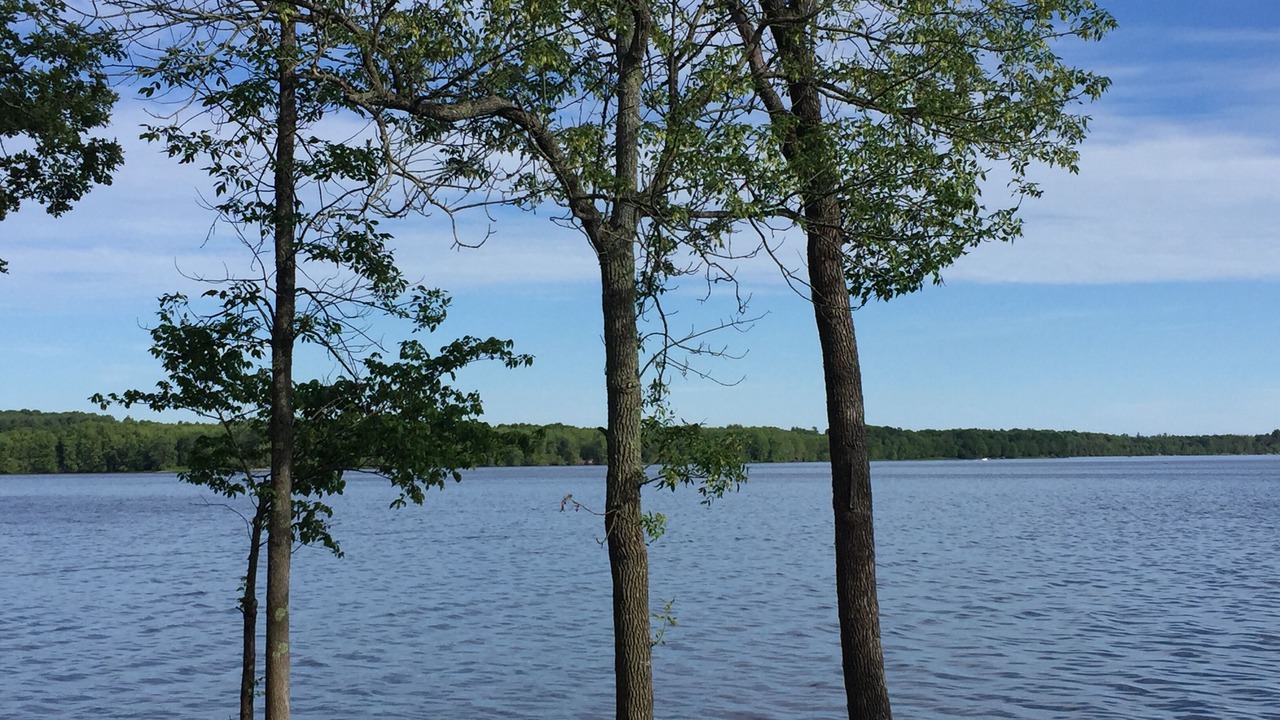 Photo of Outdoor in Carden
