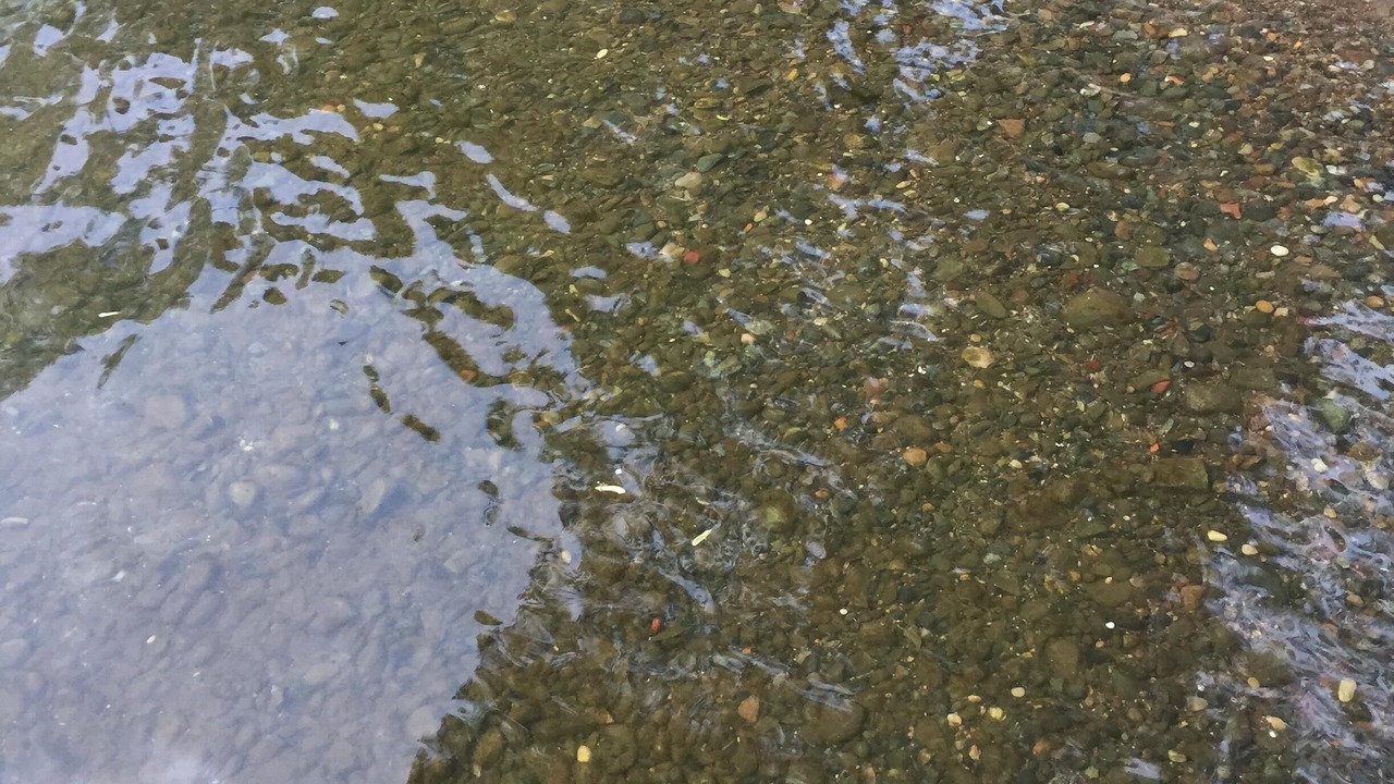 Photo of Others in Maple Lake