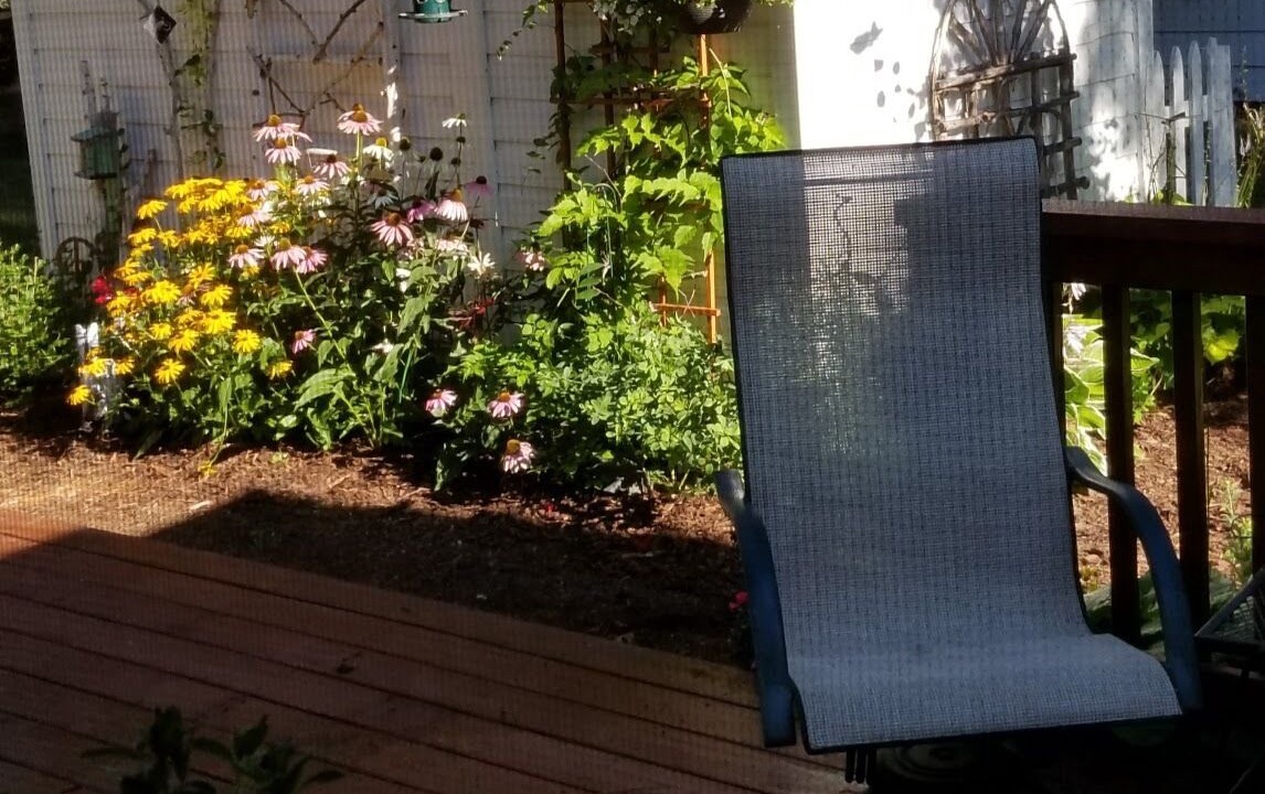 Photo of Outdoor in Ossipee
