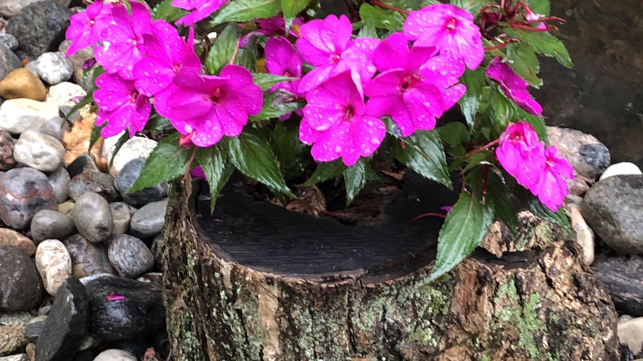 Photo of Outdoor in Jones Falls