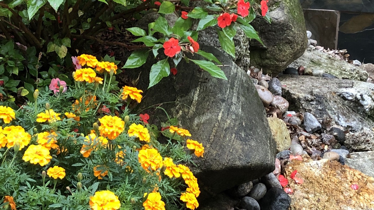 Photo of Outdoor in Jones Falls