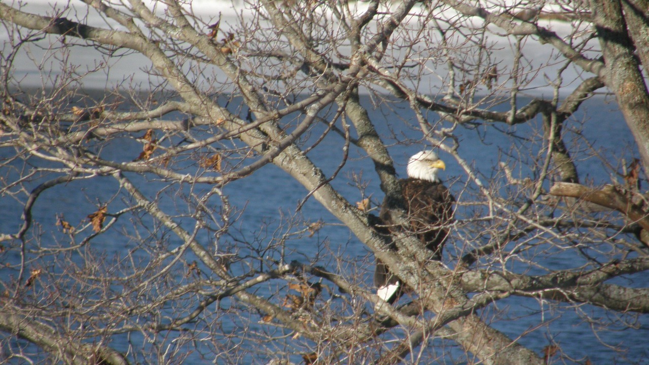 Photo of Others in Jones Falls