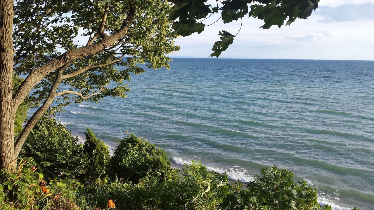 Photo of Others in Port Colborne