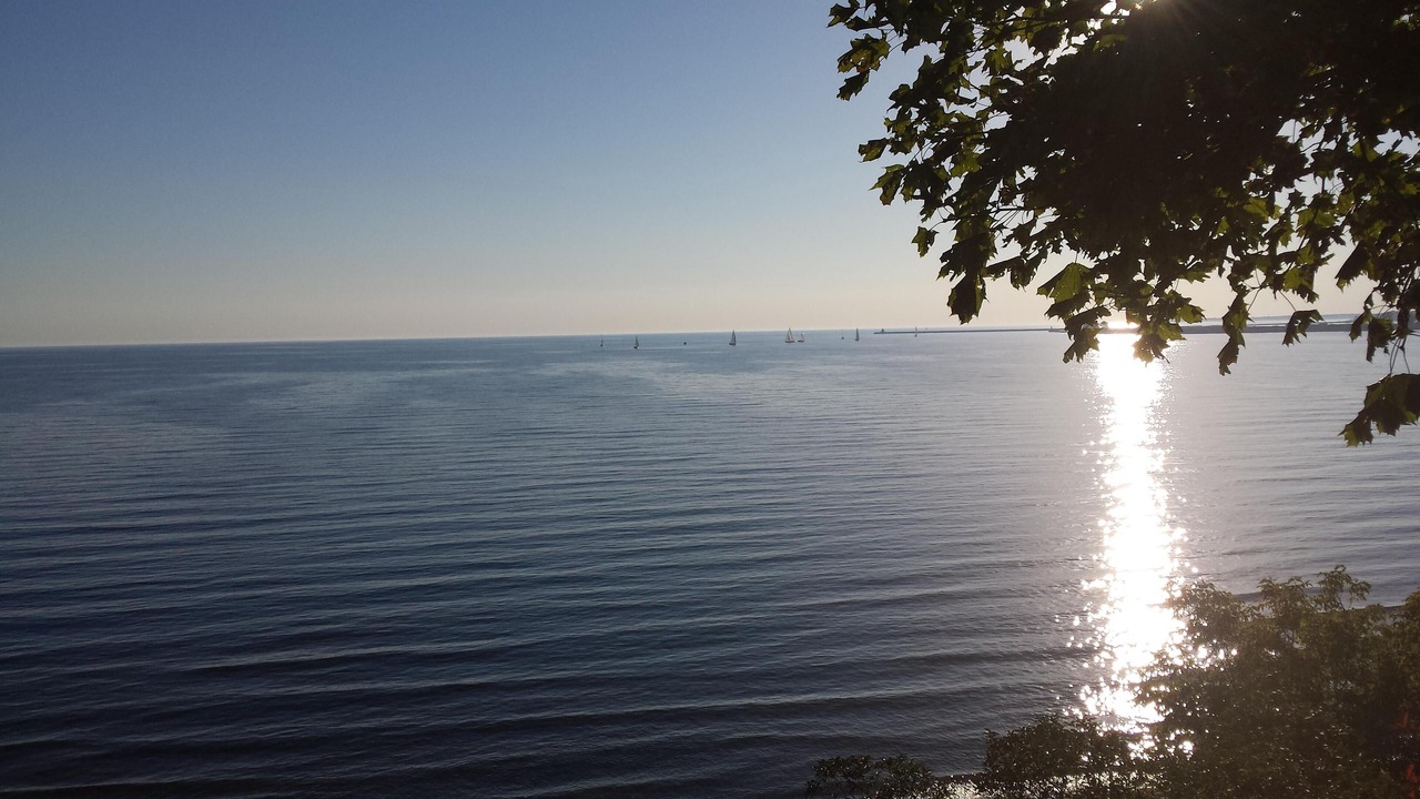 Photo of Others in Port Colborne