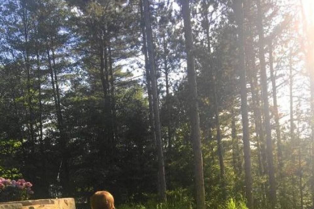 Photo of Outdoor in North Kawartha