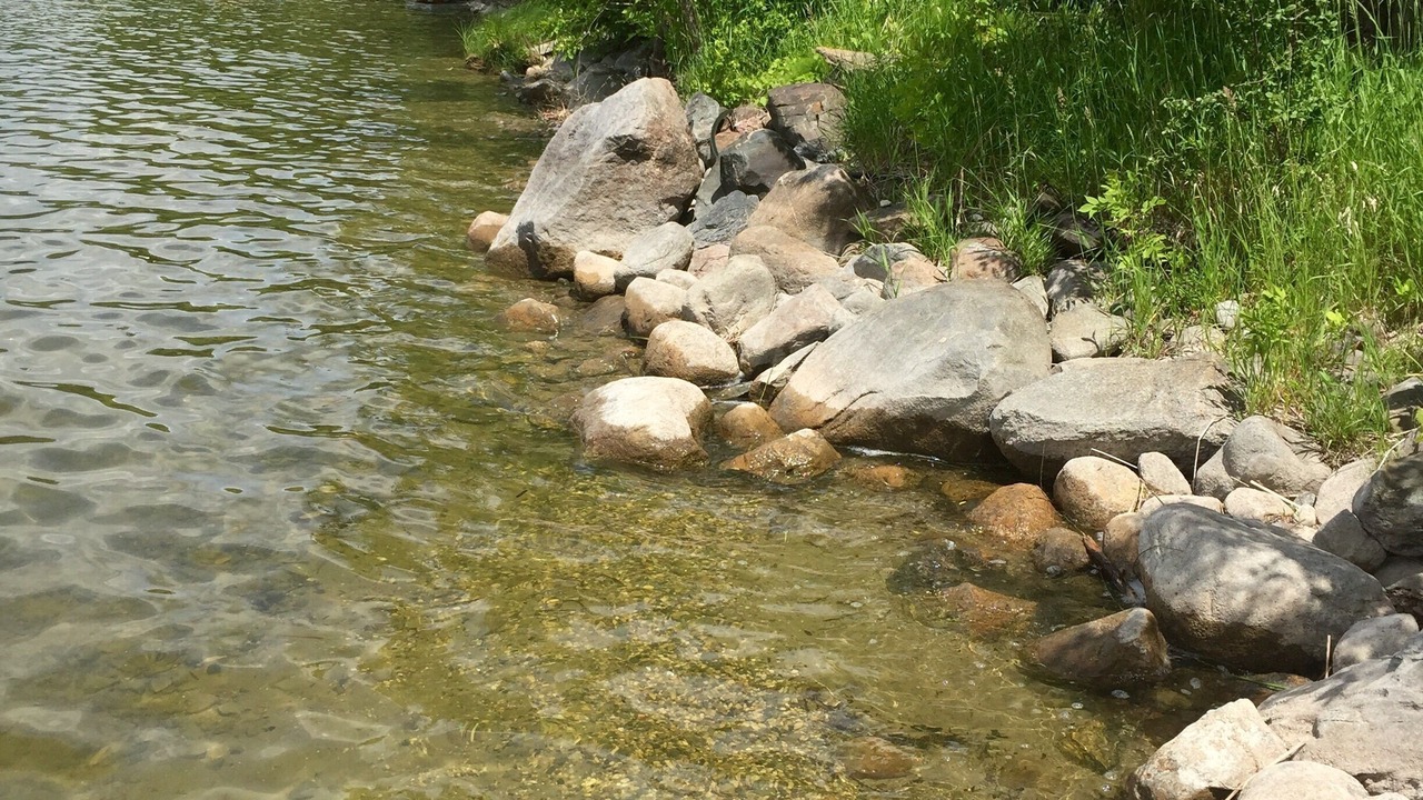 Photo of Others in Bemidji