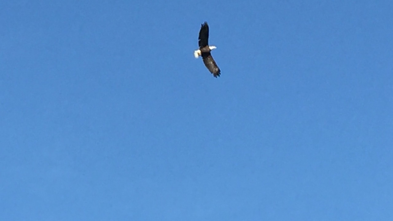 Photo of Others in Park Rapids