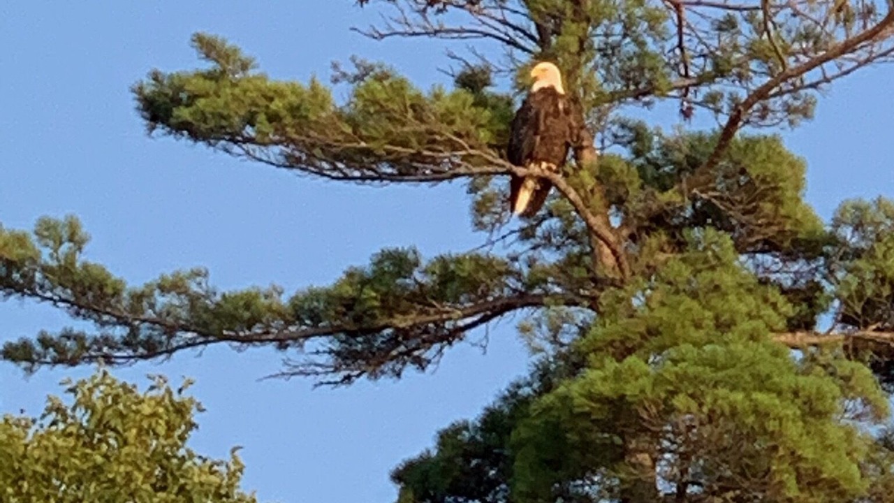 Photo of Outdoor in Park Rapids