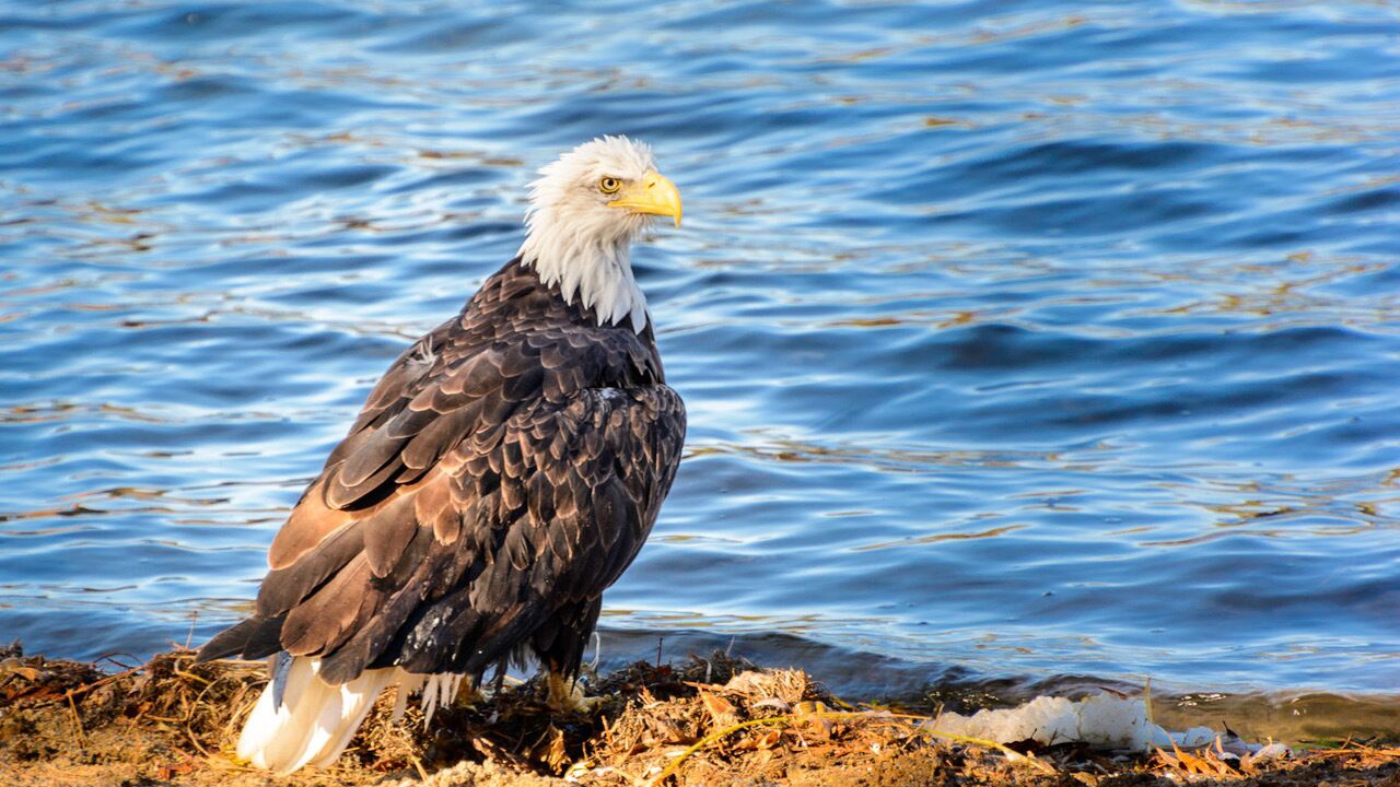Photo of Others in Park Rapids