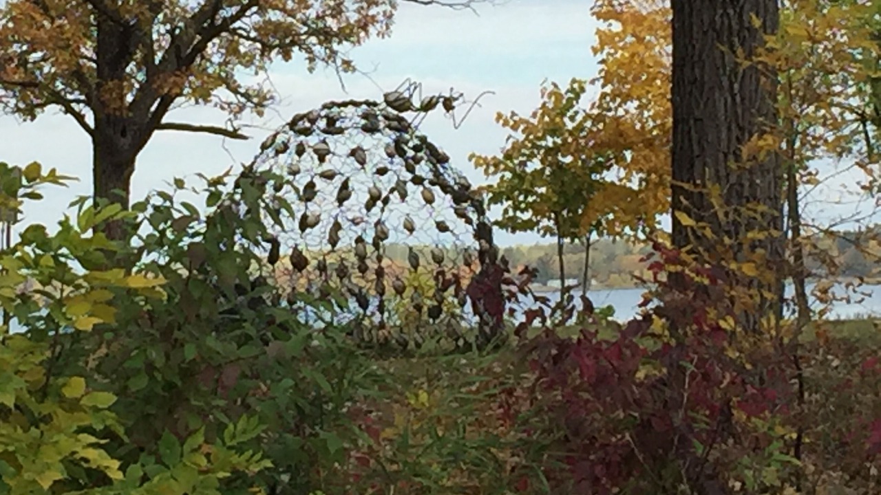 Photo of Others in Park Rapids