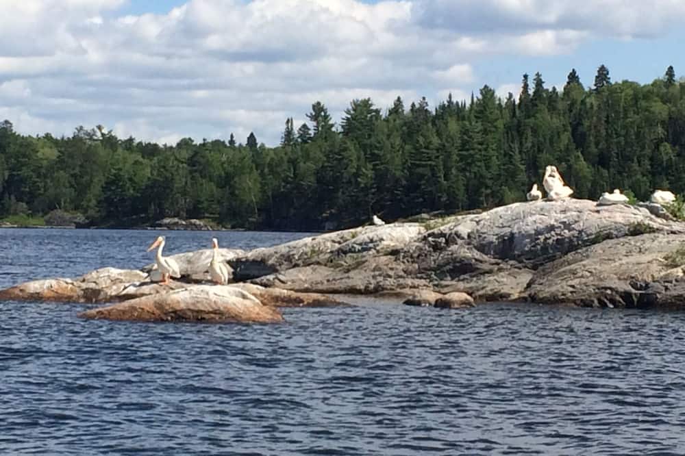 Photo of Others in Kenora