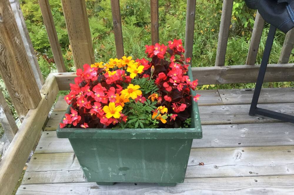 Photo of Outdoor in Kenora