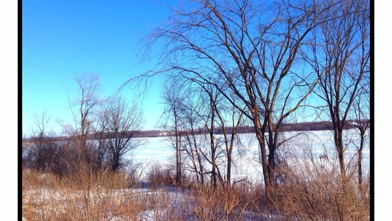 Photo of Outdoor in Rideau Heights