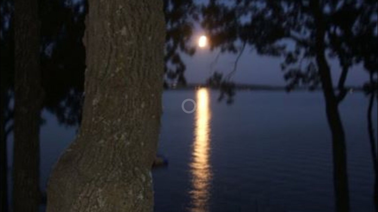 Photo of Others in Detroit Lakes