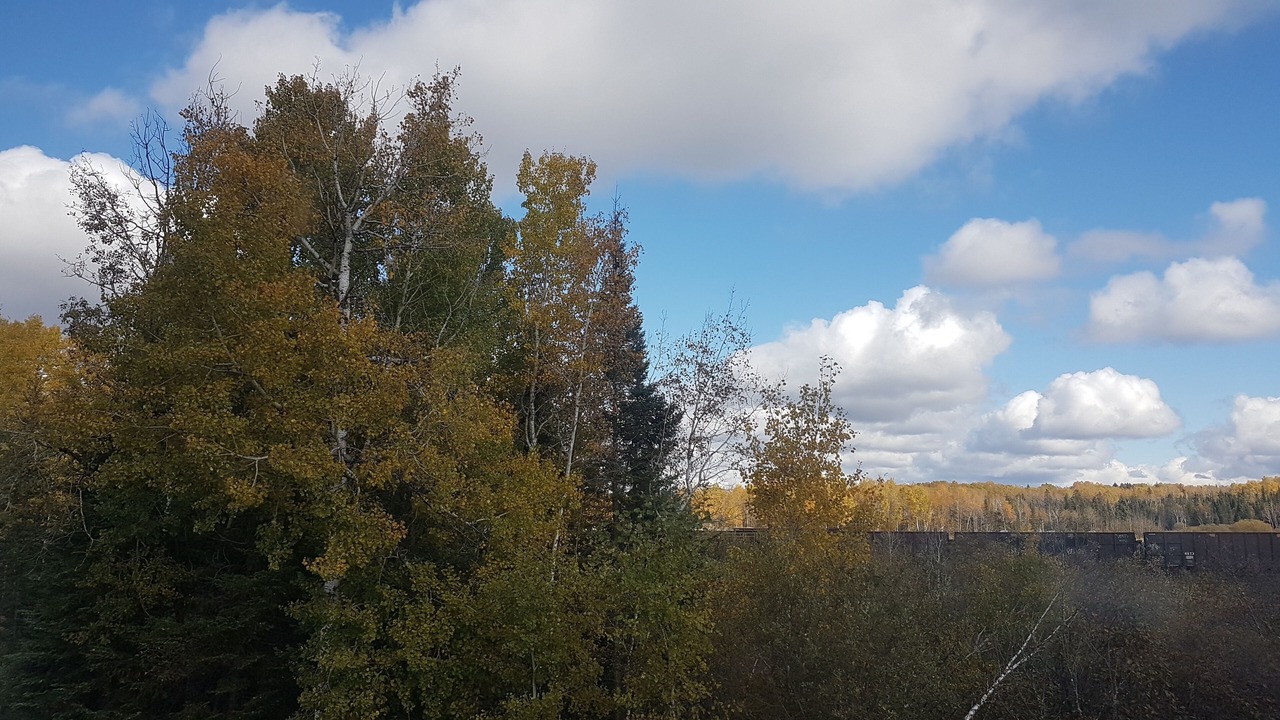 Photo of Others in Chapleau