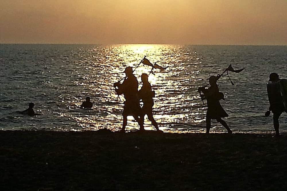 Photo of Others in Port Albert