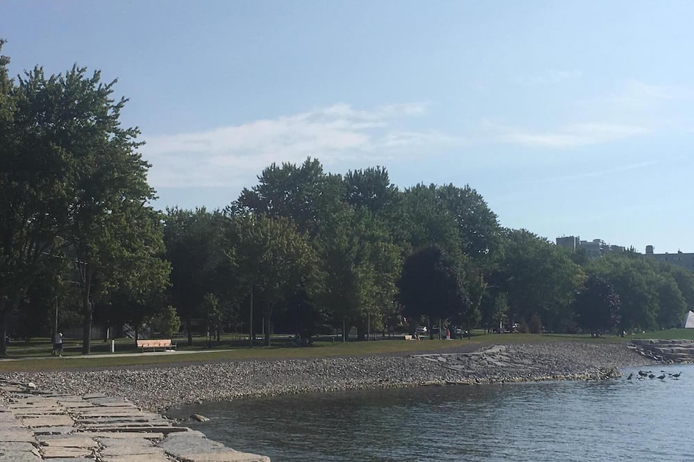 Photo of Others in Kingston