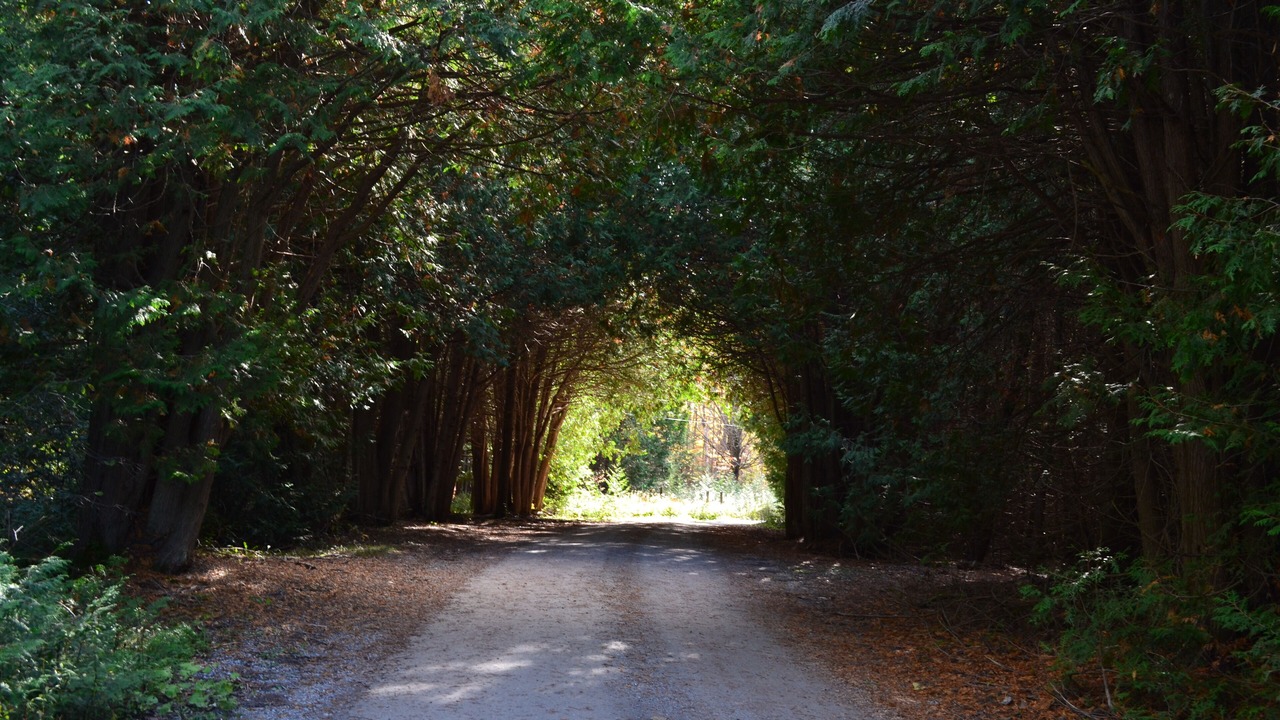 Photo of Outdoor in Baddow