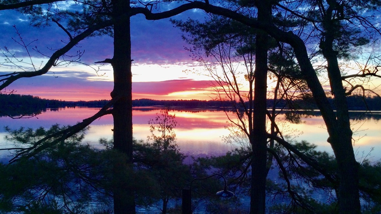 Photo of Outdoor in Kawartha Park