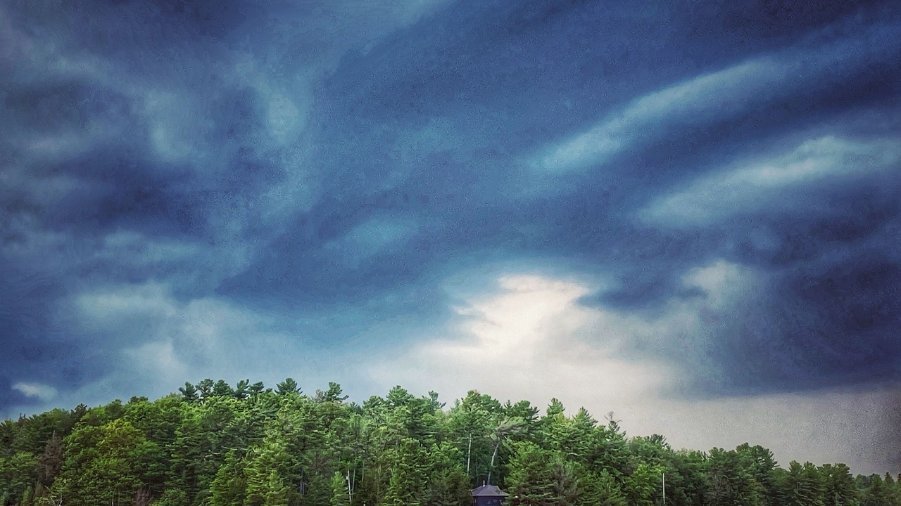 Photo of Others in Kawartha Park