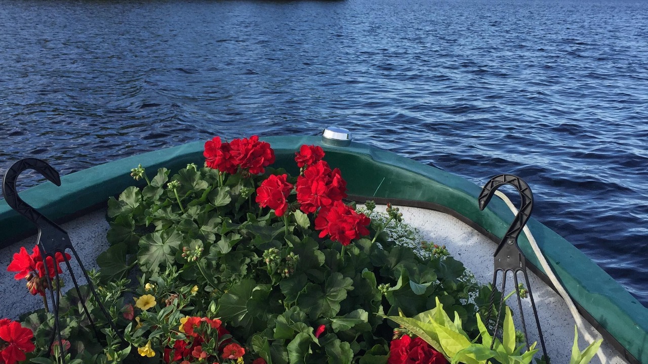 Photo of Outdoor in Kawartha Park