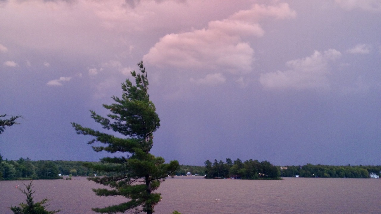 Photo of Others in Kawartha Park