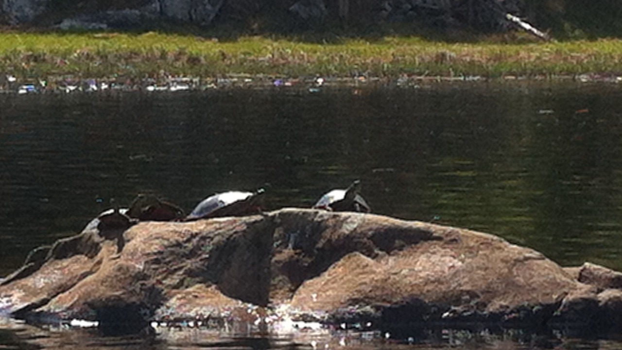 Photo of Outdoor in Kenora