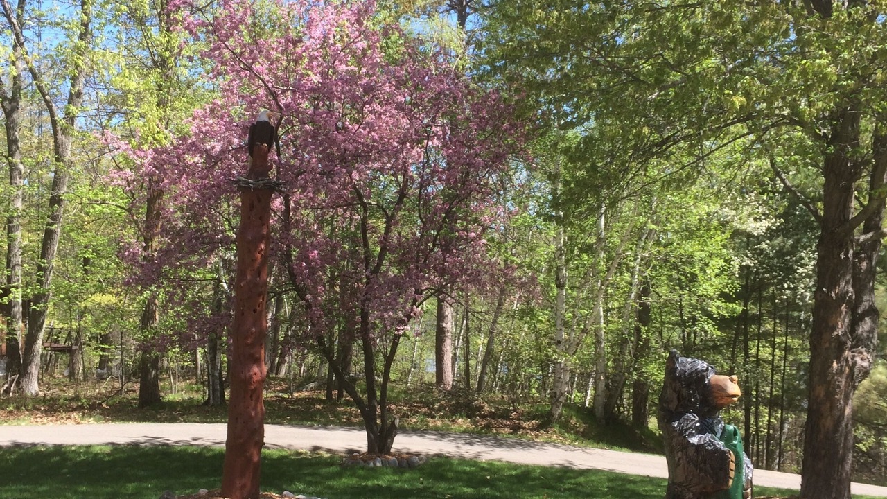 Photo of Outdoor in Remer