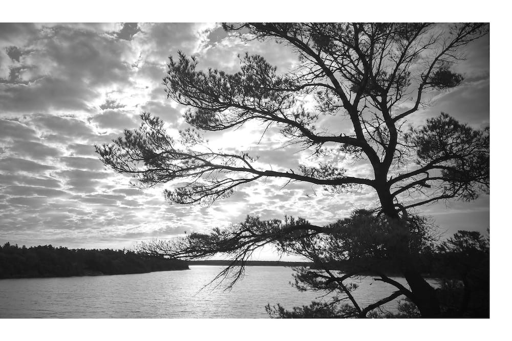 Photo of Others in Pointe au Baril