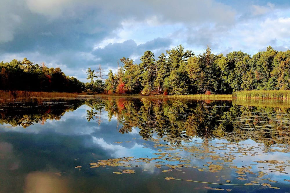 Photo of Others in Pointe au Baril
