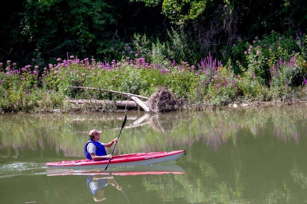 Photo of Others in Bayfield
