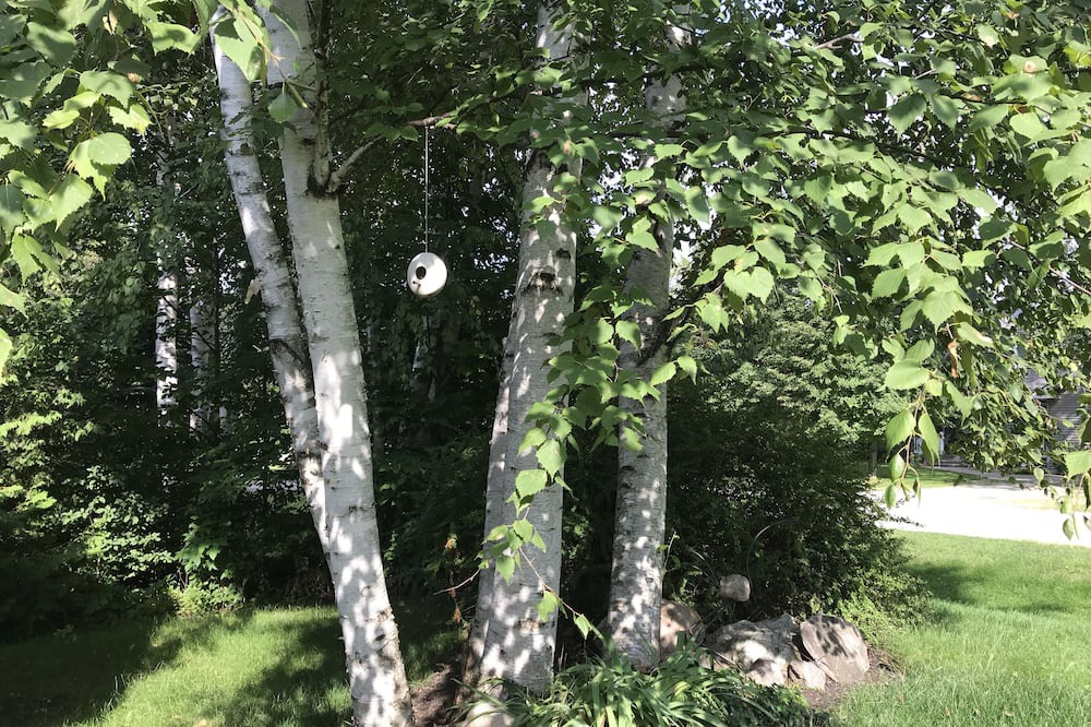 Photo of Outdoor in Bayfield