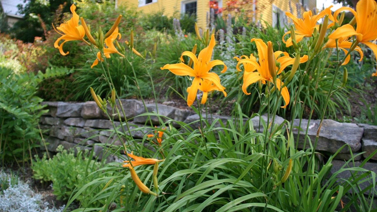 Photo of Outdoor in Georgetown