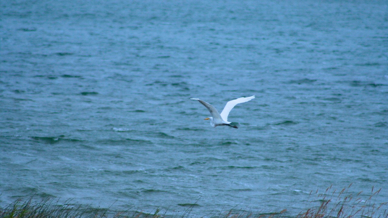 Photo of Others in Northern Bruce Peninsula