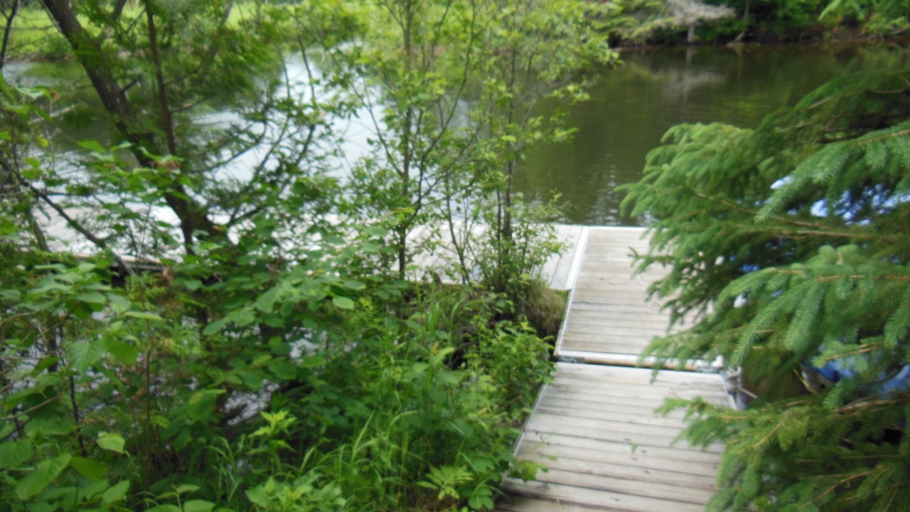Photo of Outdoor in Baddow