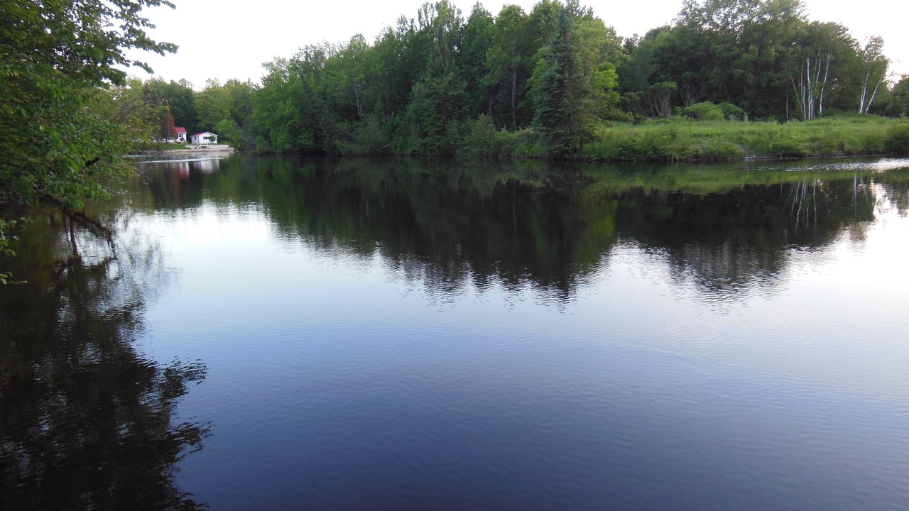 Photo of Outdoor in Baddow