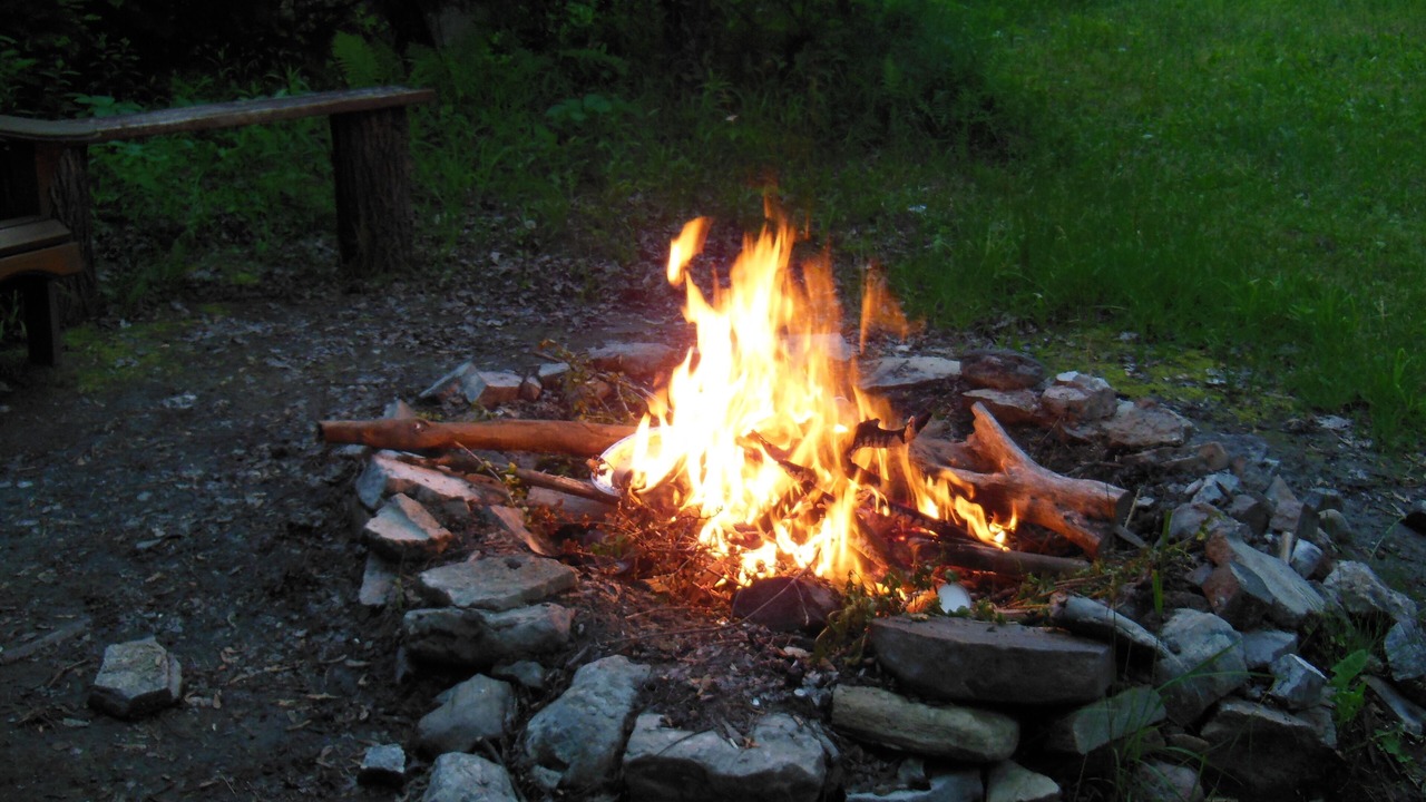 Photo of Others in Baddow