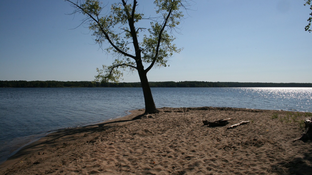 Photo of Others in Grand Rapids