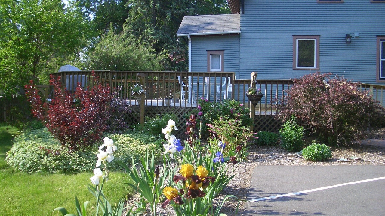 Photo of Outdoor in Forest Lake